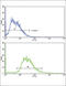 ATP Binding Cassette Subfamily G Member 2 (Junior Blood Group) antibody, abx028408, Abbexa, Flow Cytometry image 