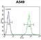 Actin Alpha 1, Skeletal Muscle antibody, abx025340, Abbexa, Flow Cytometry image 