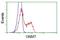 Glycine N-Methyltransferase antibody, GTX84425, GeneTex, Flow Cytometry image 