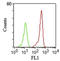 CD46 Molecule antibody, AM33360PU-T, Origene, Flow Cytometry image 