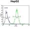 Growth Factor, Augmenter Of Liver Regeneration antibody, abx026377, Abbexa, Western Blot image 