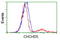 Coiled-Coil-Helix-Coiled-Coil-Helix Domain Containing 5 antibody, TA502374, Origene, Flow Cytometry image 