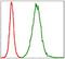 Troponin I2, Fast Skeletal Type antibody, GTX60531, GeneTex, Flow Cytometry image 