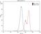 GCSFR antibody, 18310-1-AP, Proteintech Group, Flow Cytometry image 