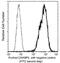 Cellular Retinoic Acid Binding Protein 2 antibody, GTX02001, GeneTex, Flow Cytometry image 