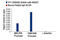 YY1 Transcription Factor antibody, 63227S, Cell Signaling Technology, Chromatin Immunoprecipitation image 