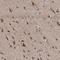 BRI antibody, NBP1-88354, Novus Biologicals, Immunohistochemistry paraffin image 