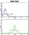 Signal Recognition Particle 72 antibody, LS-C161504, Lifespan Biosciences, Flow Cytometry image 