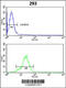 Peroxiredoxin 1 antibody, 61-601, ProSci, Flow Cytometry image 