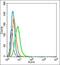 Gamma-Aminobutyric Acid Type A Receptor Beta3 Subunit antibody, orb1353, Biorbyt, Flow Cytometry image 