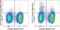 CD11C antibody, 63-0114-80, Invitrogen Antibodies, Flow Cytometry image 