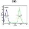 TAM41 Mitochondrial Translocator Assembly And Maintenance Homolog antibody, abx032504, Abbexa, Western Blot image 