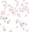 TGFB1-Induced Anti-Apoptotic Factor 1 antibody, 7305, ProSci Inc, Immunocytochemistry image 