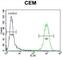 Activating Transcription Factor 3 antibody, abx028913, Abbexa, Western Blot image 