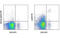 T-cell surface glycoprotein YE1/48 antibody, MBS832833, MyBioSource, Flow Cytometry image 