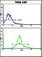 Amyloid Fibrils antibody, orb99110, Biorbyt, Flow Cytometry image 