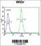 Dishevelled Associated Activator Of Morphogenesis 1 antibody, 61-929, ProSci, Immunofluorescence image 