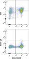 Toll Like Receptor 9 antibody, MAB7960, R&D Systems, Flow Cytometry image 