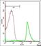 Transient Receptor Potential Cation Channel Subfamily C Member 6 antibody, orb5916, Biorbyt, Flow Cytometry image 