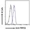 Transient Receptor Potential Cation Channel Subfamily C Member 6 antibody, NB600-791, Novus Biologicals, Flow Cytometry image 