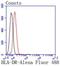 Major Histocompatibility Complex, Class II, DR Alpha antibody, NBP2-67610, Novus Biologicals, Flow Cytometry image 