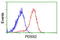 Decaprenyl Diphosphate Synthase Subunit 2 antibody, LS-C173528, Lifespan Biosciences, Flow Cytometry image 