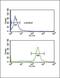 Fc Fragment Of IgG Receptor IIa antibody, GTX80944, GeneTex, Flow Cytometry image 