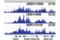 AE Binding Protein 2 antibody, 14129S, Cell Signaling Technology, Chromatin Immunoprecipitation image 