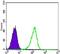 Coactivator Associated Arginine Methyltransferase 1 antibody, MA5-15796, Invitrogen Antibodies, Flow Cytometry image 