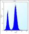 CTD Nuclear Envelope Phosphatase 1 antibody, PA5-48455, Invitrogen Antibodies, Flow Cytometry image 