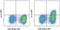 Interleukin 21 antibody, 17-7211-82, Invitrogen Antibodies, Flow Cytometry image 