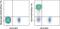 CD2 Molecule antibody, 46-0029-42, Invitrogen Antibodies, Flow Cytometry image 