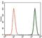 Doublecortin antibody, NBP2-37476, Novus Biologicals, Flow Cytometry image 