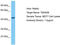 Transcriptional adapter 2-beta antibody, TA331628, Origene, Western Blot image 