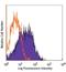 Plasmalemma Vesicle Associated Protein antibody, NB100-77668, Novus Biologicals, Flow Cytometry image 