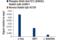 STAT3 antibody, 34911S, Cell Signaling Technology, Chromatin Immunoprecipitation image 