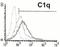 Complement C1q A Chain antibody, NB100-64729, Novus Biologicals, Flow Cytometry image 