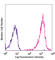 Endothelial Cell Adhesion Molecule antibody, 136207, BioLegend, Flow Cytometry image 