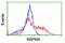 RNA-binding protein with multiple splicing antibody, LS-C175183, Lifespan Biosciences, Flow Cytometry image 