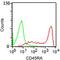 CD45RA antibody, 33-195, ProSci, Immunofluorescence image 