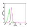 Toll Like Receptor 8 antibody, NBP2-24817, Novus Biologicals, Flow Cytometry image 