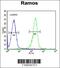 High molecular weight kininogen antibody, 55-985, ProSci, Immunofluorescence image 