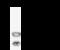 Protein Kinase C Delta antibody, GTX02366, GeneTex, Immunoprecipitation image 