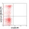 Lymphocyte antigen 75 antibody, 138205, BioLegend, Flow Cytometry image 