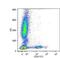 Neural Cell Adhesion Molecule 1 antibody, MA1-19638, Invitrogen Antibodies, Flow Cytometry image 