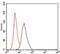 RUNX Family Transcription Factor 3 antibody, NBP2-37455, Novus Biologicals, Flow Cytometry image 