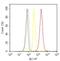 Pannexin 2 antibody, 42-2900, Invitrogen Antibodies, Flow Cytometry image 