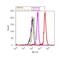 Microtubule Associated Protein 1 Light Chain 3 Beta antibody, 700712, Invitrogen Antibodies, Flow Cytometry image 