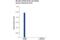 Forkhead Box M1 antibody, 20459S, Cell Signaling Technology, Chromatin Immunoprecipitation image 