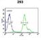 RNA Binding Motif Protein 24 antibody, abx032567, Abbexa, Flow Cytometry image 